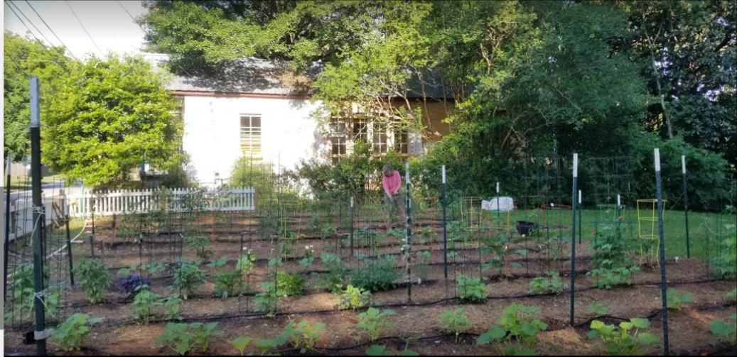 Bradley Circle Garden2